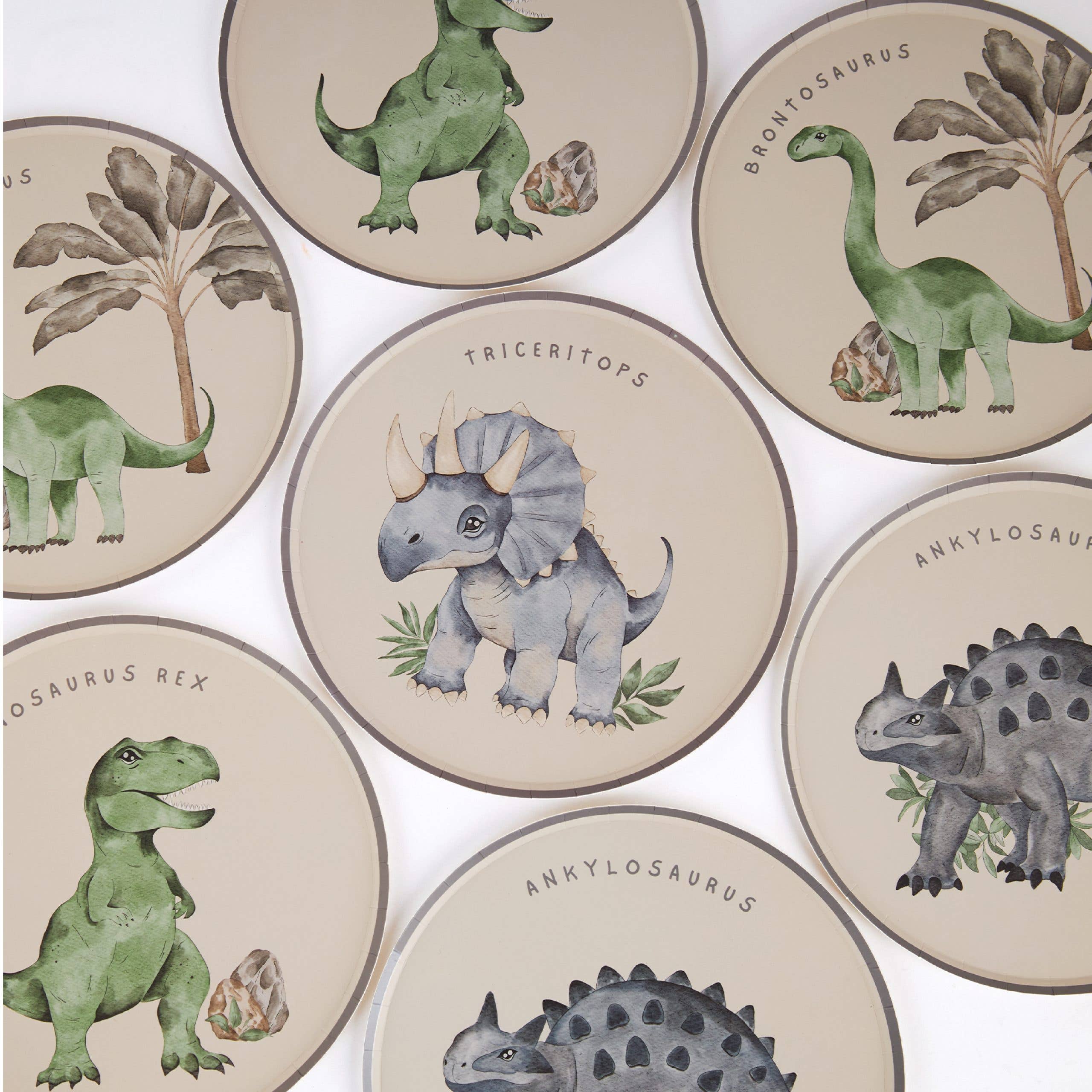 Assorted dinosaur plates spread across a white surface