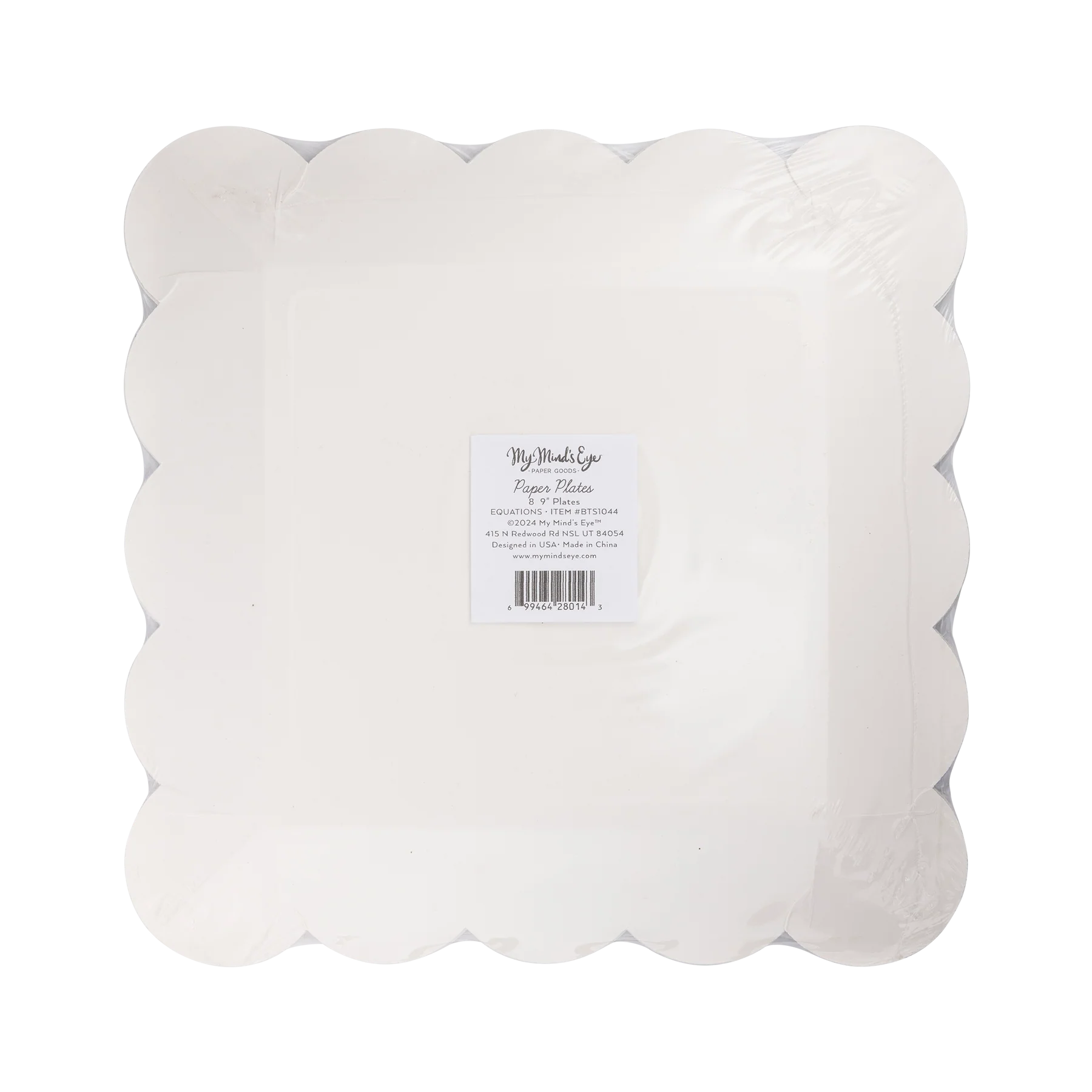 Back of the My Mind’s Eye Equations Paper Plates in clear packaging with product label visible.