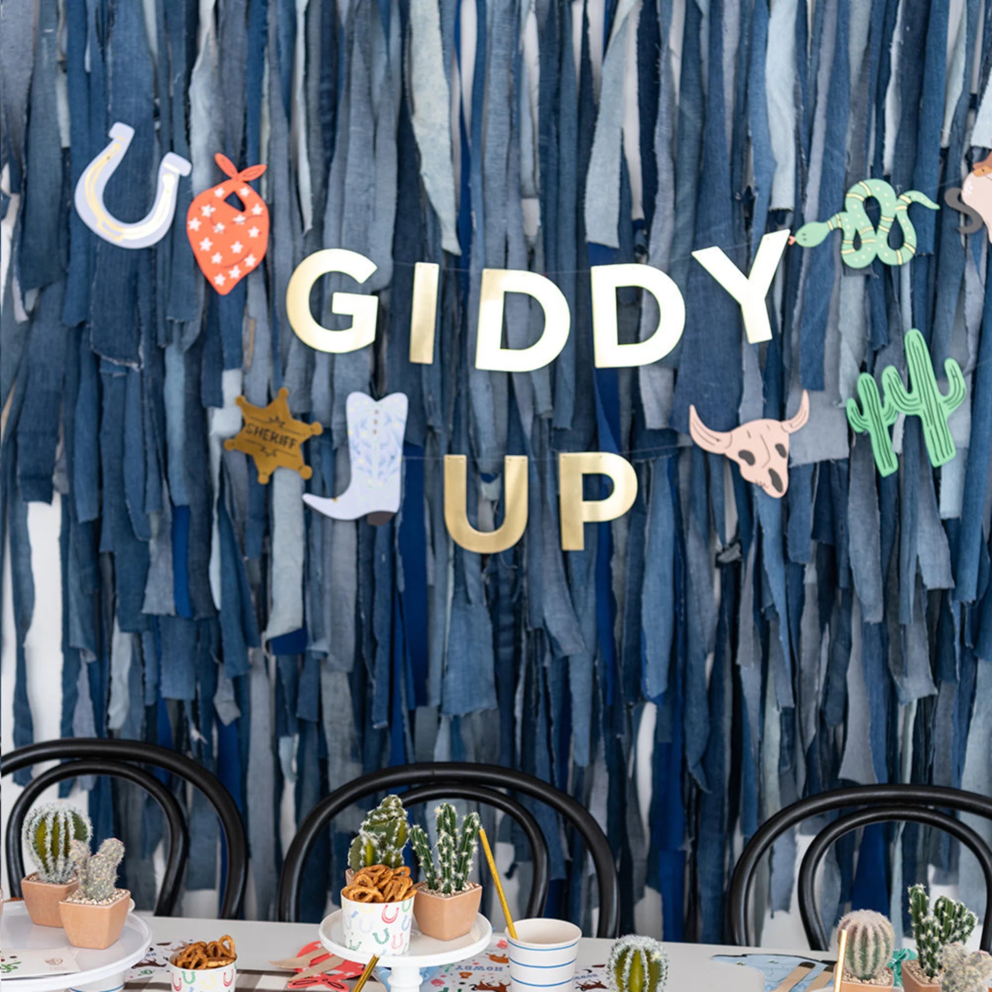Western Party Banner
