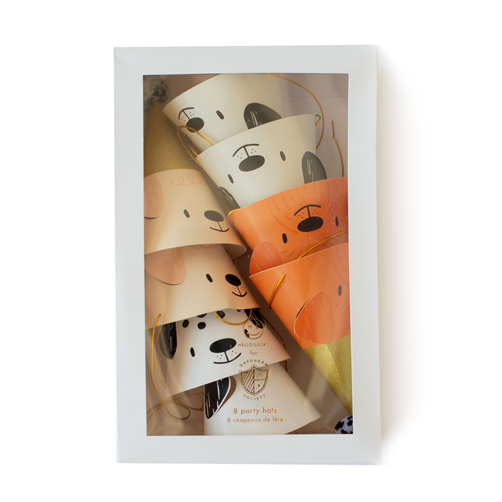 Packaged Bow Wow dog birthday party hats displayed in retail box