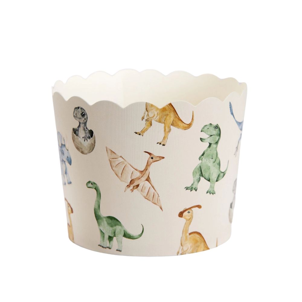 Dinosaur themed cupcake liner with assorted dinosaur illustrations
