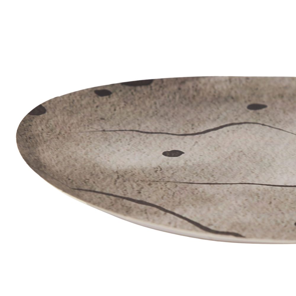 Close up of dinosaur egg plate edge and surface detail
