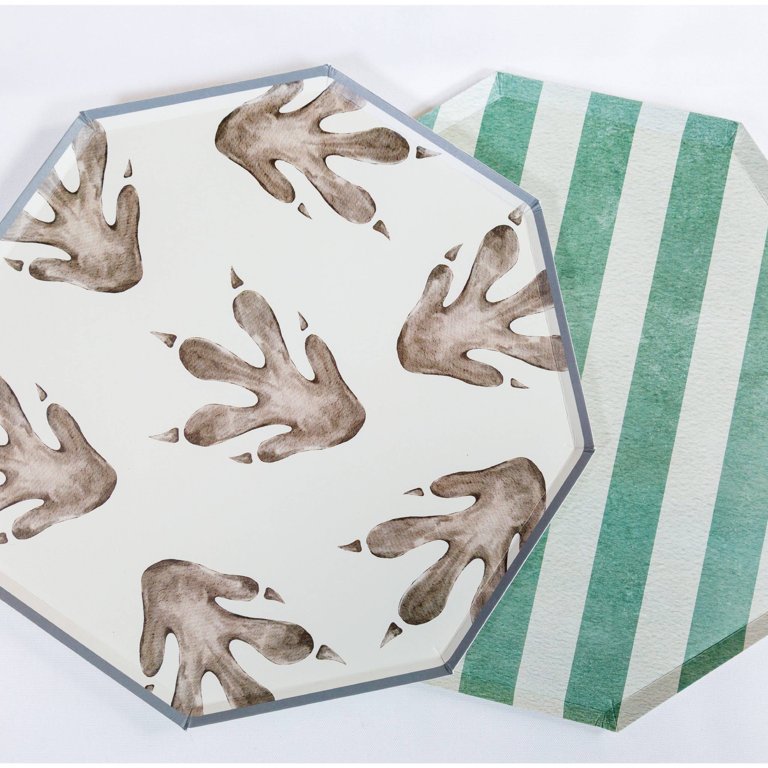 Dinosaur footprint plate with green striped plate
