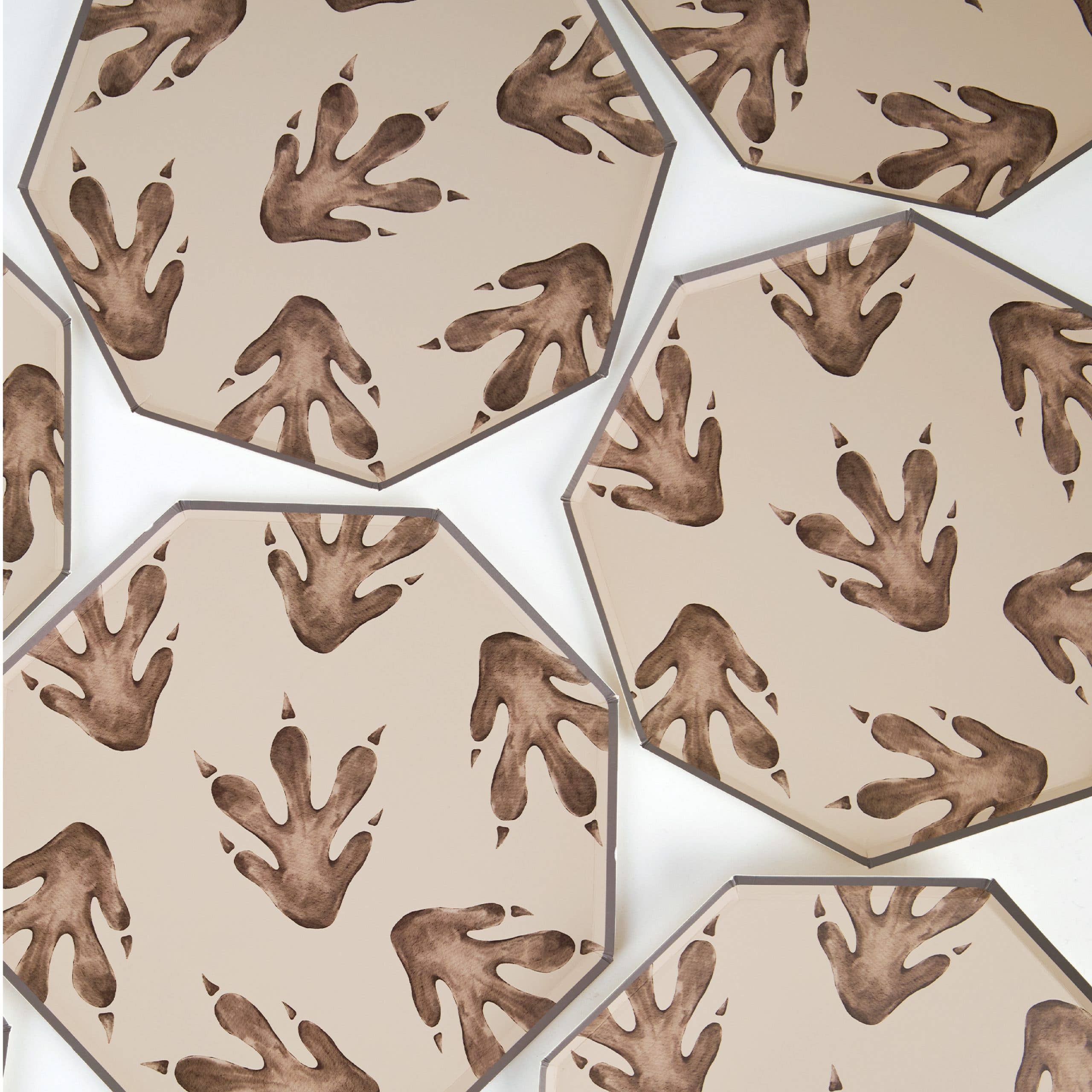 Multiple dinosaur footprint plates arranged in a pattern

