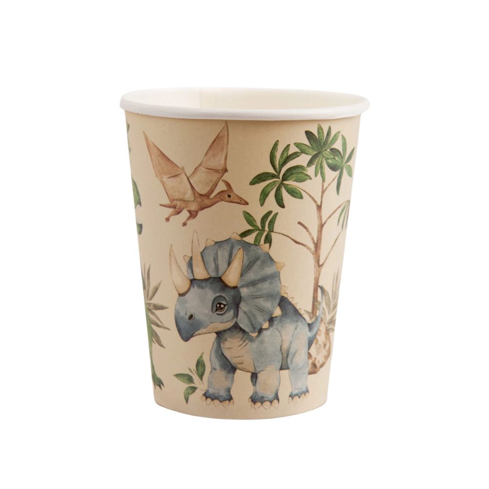 Dinosaur paper cup with triceratops and pterodactyl illustration

