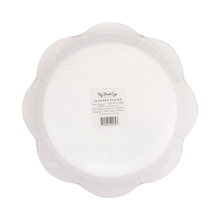 Sealed stack of blue gingham plates shown from the back, barcode label centered on white background.