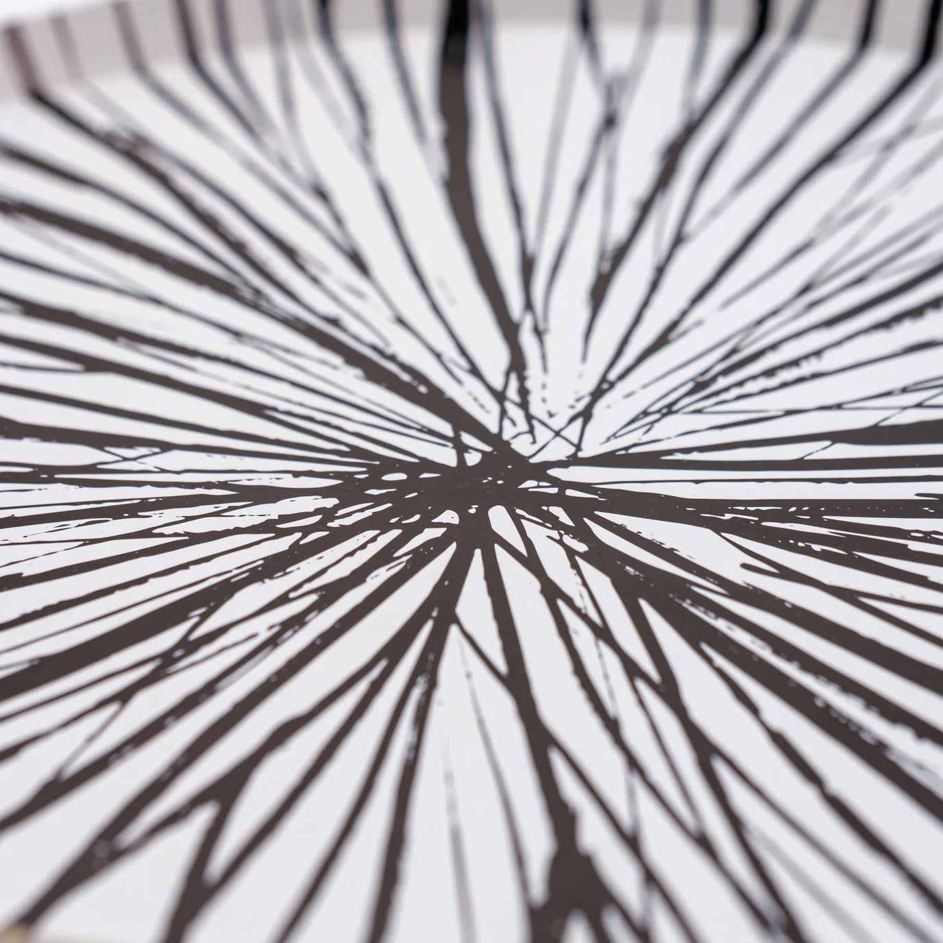 Close view of Radiance black dinner plate rim, bold sunburst, chic Paper Plates