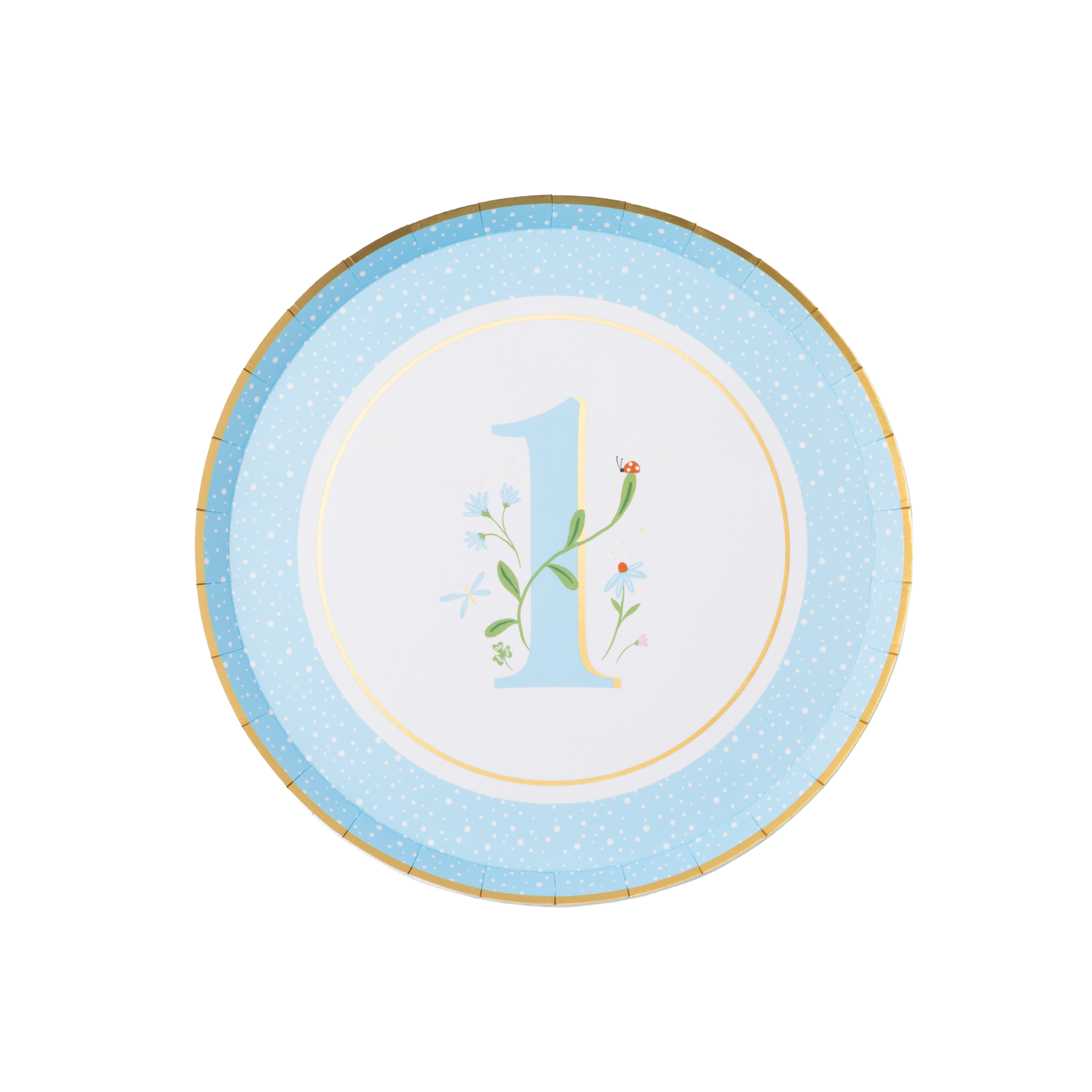 Single round sky blue first birthday paper plate with illustrated floral number 1, ladybug detail and gold foil border on white background